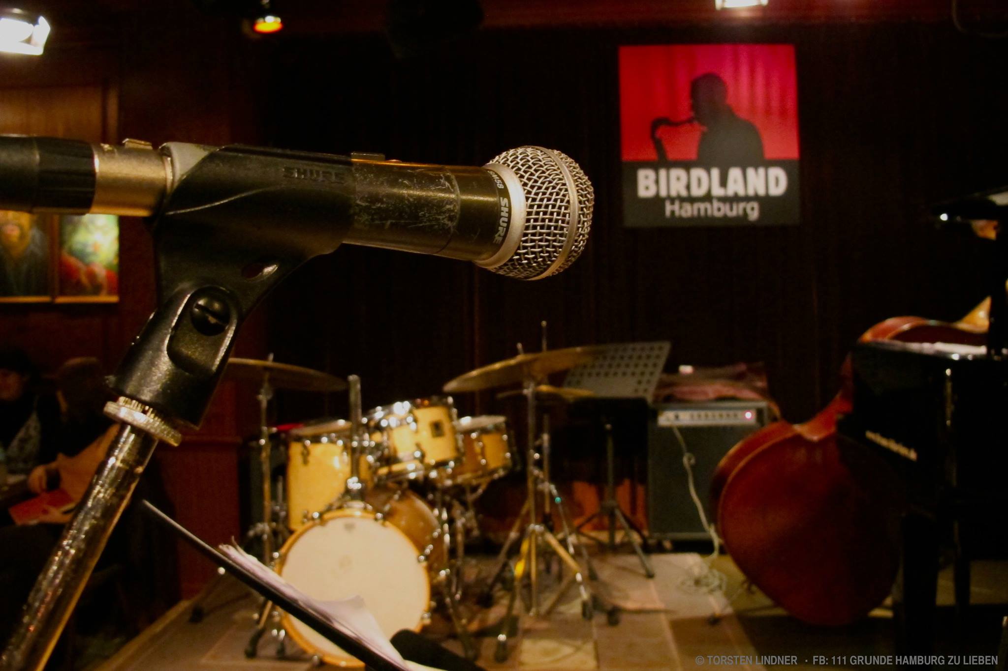 BIRDLAND Jam Session Microfon1 BIRDLAND Jam Session birdland